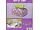PB773 | Bulk Buys Floral Print Candy and Cookie Gift Boxes