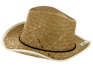 PB833 | Bulk Buys Classic Adult Woven Western Hat with
