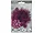 WM453 | Bulk Buys Vibrant WRBL Feather Flower Gem Ornament