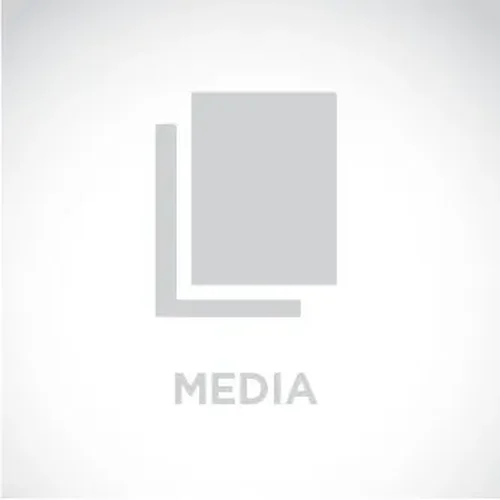 420985-BLU | Honeywell Professional Blue DMX Labels - 4