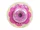Bulk Buys Delightful Cupcake and Donut Bath Bomb Set for