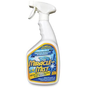 Miraclemist MMIC-4 32oz Moldmldw Stn Rmvr