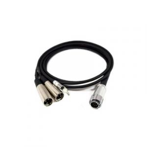 Azden AZDEN-MX-10 10-pin To Dual-xlr Output Cable For Fmx-42a Mixer