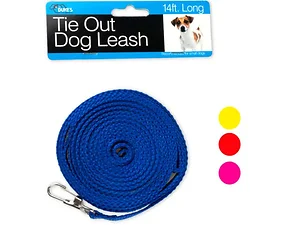 Dukes Dog Tie-Out Leash