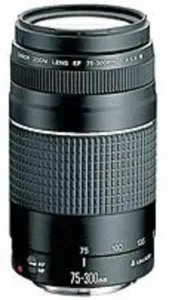 Canon RA3718 Ef 75mm-300mm Telephoto Zoom Lens Cndef75300