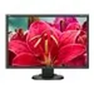 Sharp Nec E245WMI-BK 24 DESKTOP MONITOR W/ IPS PANEL,