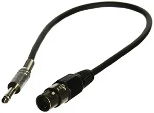 C2g 40039 1.5ft Pro-audio Xlr Female To 14in Male Cable