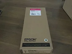 EPSON-T824300