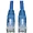 N201-002-BL50BP | Tripp Lite Tripp Lite, Patch Cable,