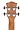 Cascha Cascha Premium Mahogany Concert Ukulele Starter Set