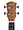 Cascha Cascha Premium Mahogany Concert Ukulele Starter Set