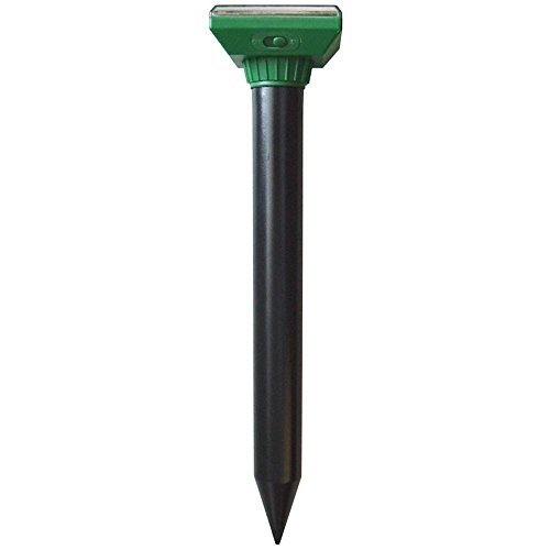 P3 International-P7911