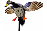 Mojo Networks-HW2460