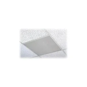 BG-ACD2X2U | Avaya ACD2X2 Bright White Ceiling Speakers - 2
