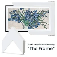 FRAME MY TV-FRM-SF-D4001-49
