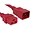 C19C20-RD-8F-ENC | Enet 8FT Red C19 to C20 Power Cord