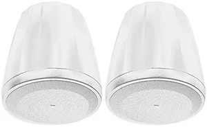 C64P/T-WH | Harman Kardon 4 Inch Full Range White Pendant