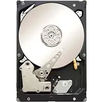 SEAGATE-ST1000NM0001