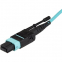 Startech MPO12PL1M 1m 3 Ft Mpo  Mtp Fiber Optic Cable - Plenum-rated M