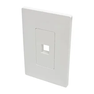 N080101 | Tripp Lite Tripp Lite Single-Gang 1-Port Wall