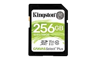 KINGSTON-SDS2/256GB