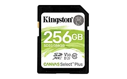 KINGSTON-SDS2/256GB