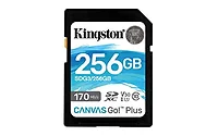 KINGSTON-SDG3/256GB