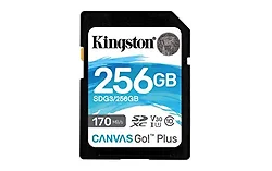 KINGSTON-SDG3/256GB