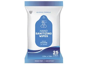 Bulk Buys Disinfectant Wipes - 25 Pack for On-The-Go