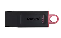 KINGSTON-DTX/256GB