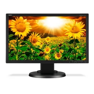 Nec MultiSync E201W-BK 20