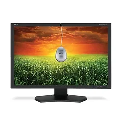 NEC-P241W-BK-SV