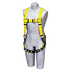 CAPITAL SAFETY-1101655