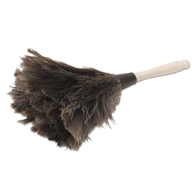 Boardwalk BWK20BK Duster,ostrch,fthr,10,bk