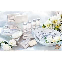 DIAL PROFESSIONAL-99270