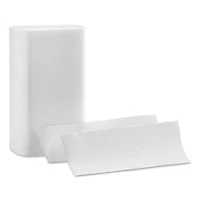 GEORGIA PACIFIC-20241