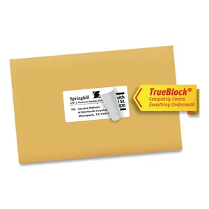 91201 | Avery Dennison TrueBlock Shipping Labels, 8.5 x 11,