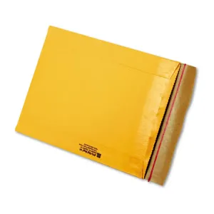 Anle 89273 Envelope,9.5x13,brkr