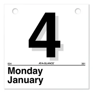 K4-50 | At-a-glance 2023 Daily Wall Calendar Refill for