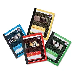 PACON CORPORATION-PMMK37163