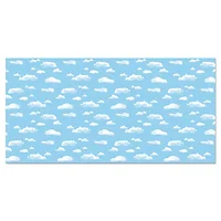 PACON CORPORATION-P0056225