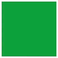 PACON CORPORATION-PAC 57205