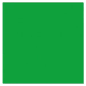 Pacon Corporation Fadeless Bulletin Board Art Paper -