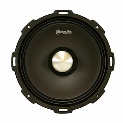 American Bass-GFP104