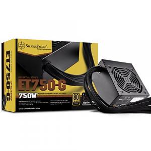 Silverstone ET750-G Et750-g 750w Atx 80 Plus Gold Certified Active Pfc