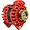 XT-DF-170-K6 | Balmar 170A Alternator with K6 Serpentine