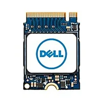 DELL-SNP112233P/256G