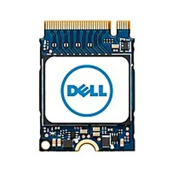 DELL-SNP112233P/256G