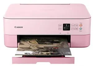 Canon 3773C042 Pixma Ts5320 Pink Printer Wrls