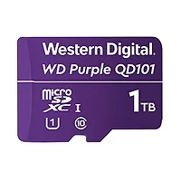 Western Digital-WDD100T1P0C